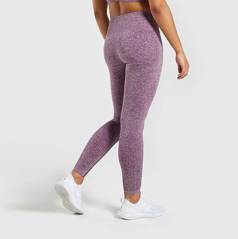 Women Seamless Tummy Control Leggings